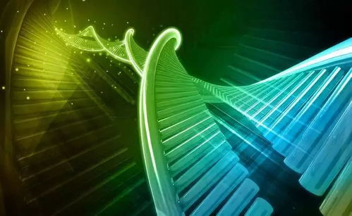 溫州生材所聯合上海交大、浙大成立研發中心，生物基材料技術助力阿爾茨海默癥治療