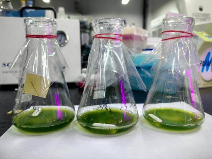 紹興上虞 科技創(chuàng)新驅(qū)動，秸稈變身高價值新材料，譜寫綠色經(jīng)濟新篇章