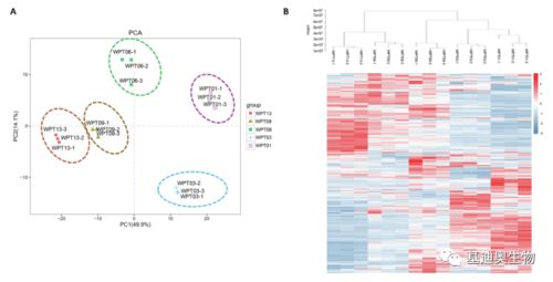 基迪奧植物廣靶代謝組學技術驅動生物基材料創新，助推單組學研究登頂頂尖期刊